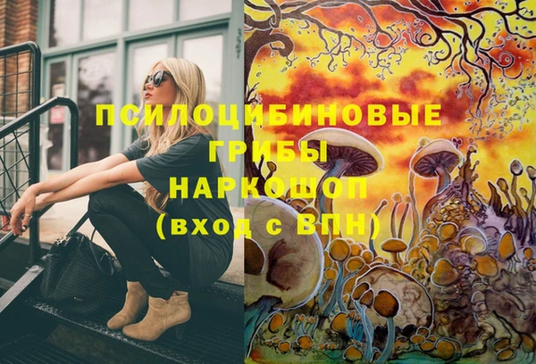 Альфа ПВП Осинники