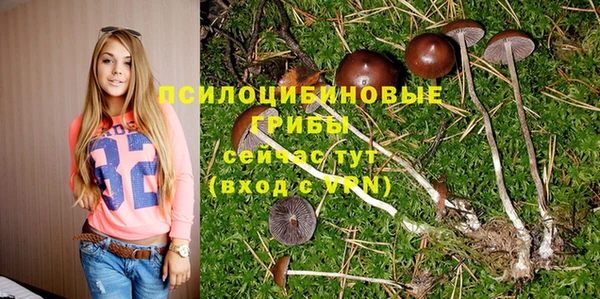 а пвп мука Алексеевка
