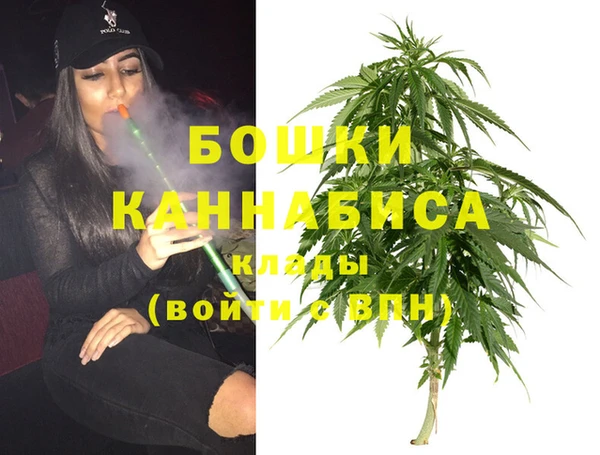 гашик Алзамай