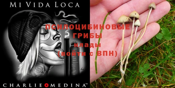 гашик Алзамай